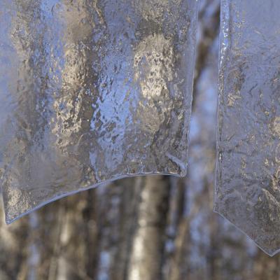 Bois-des-Glaces 2